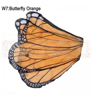 Butterfly Orange Wing
